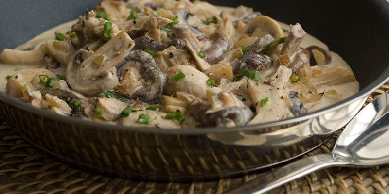 Oyster Mushroom Stroganoff